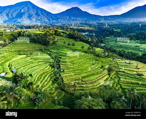 Liburan ke Tabanan Penebel