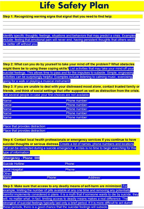 Life Safety Plan Template