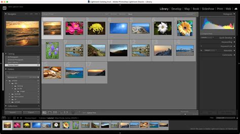 Lightroom Catalog.lrcat-data