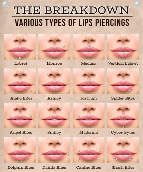 Lip Ring Size Chart