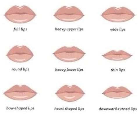 Lip Size Chart