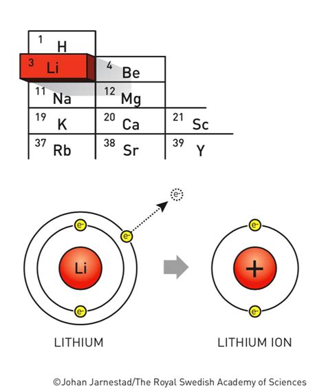 lithium atom vs lithium cation