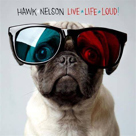Portada de Live Life Loud
