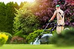 Local Lawn Cutting Services