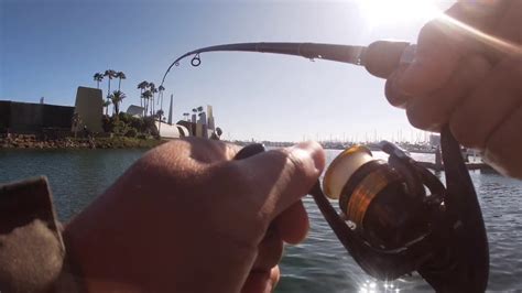Long Beach Fishing Experience