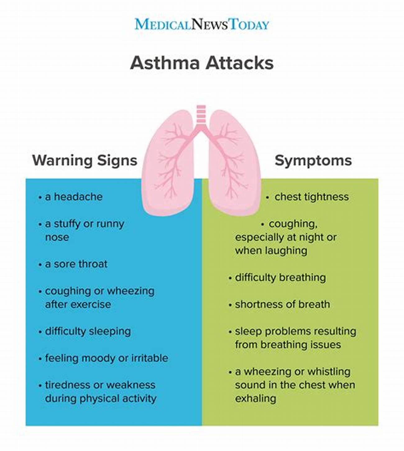  Asthma Symptoms And Treatment Prevent Asthma: What You Need To Know About Asthma: Asthma Action Plan