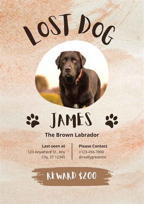 Lost Pet Poster Template