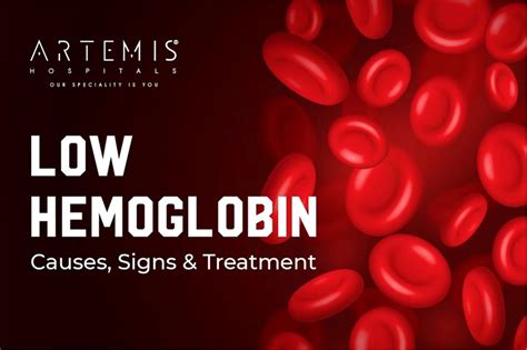 Hemoglobin Rendah (Anemia)