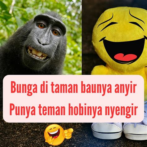 Lucu