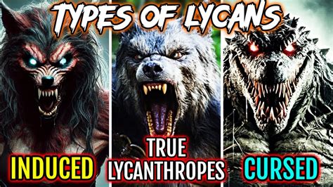Lycan infection