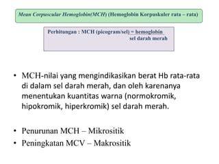 MCH Tinggi (Hiperkromik)
