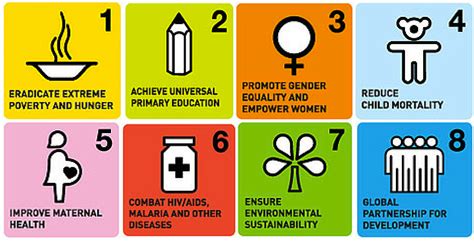 MDGs Goals
