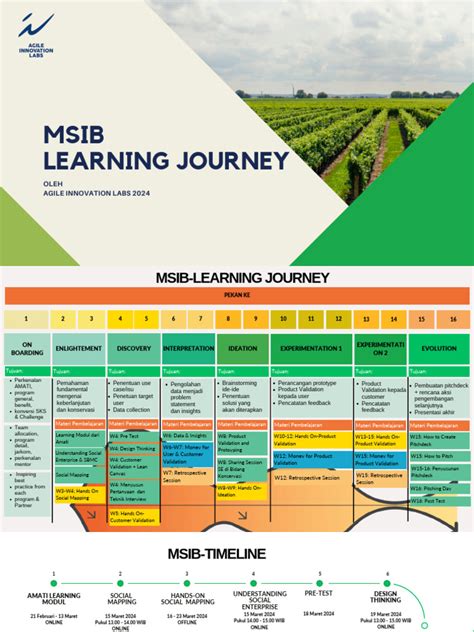 MSIB Program Overview