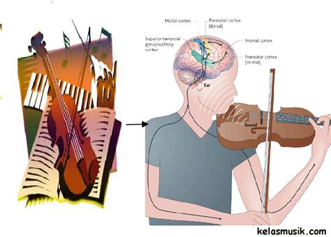 musik klasik dan otak