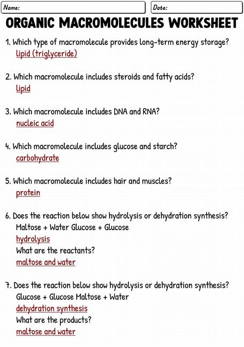 Macromolecule Coloring Worksheet Answer Key
