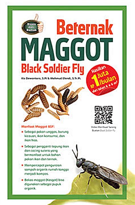 Maggot Black Soldier Fly