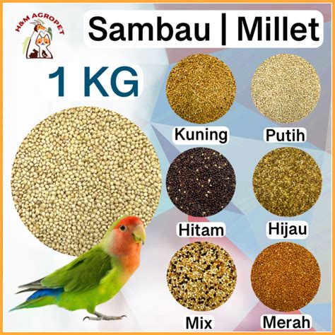 Makanan Burung