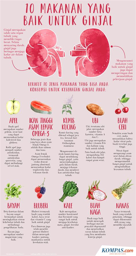 Makanan sehat ginjal