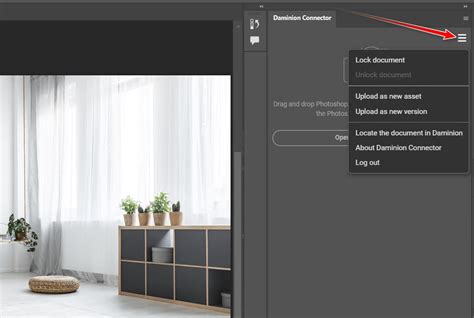 Making A Copy Of The Daminion Catalog File