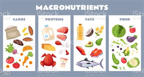 Makronutrien Protein