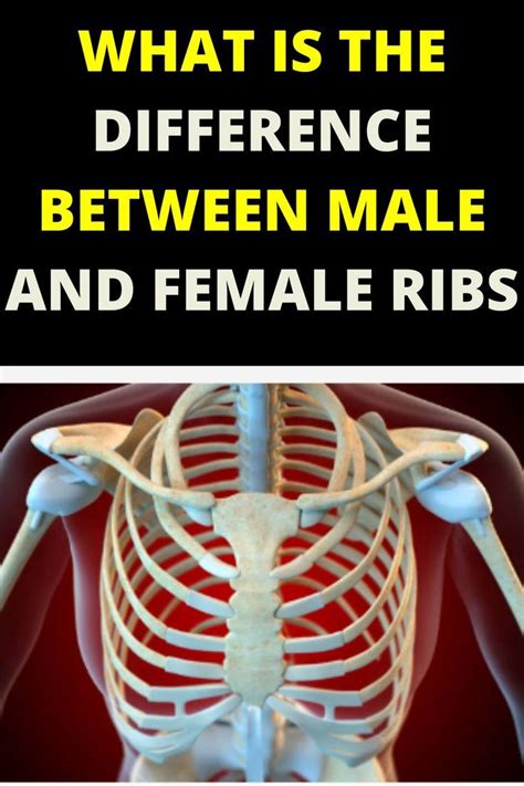 Male vs Female