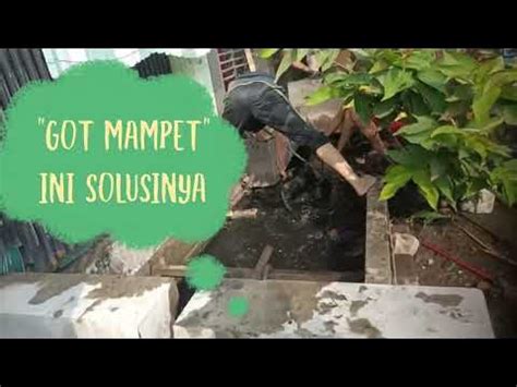 Mampet Got