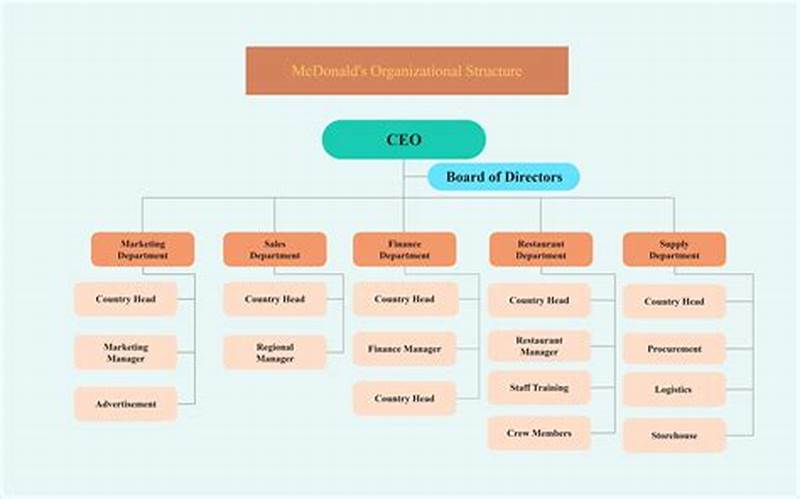Management Structure Chart