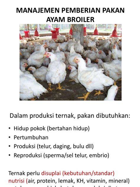 Manajemen Pemberian Pakan