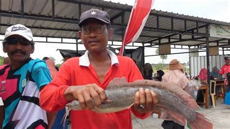 Mancing Lele Juara