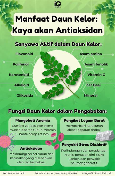 Manfaat Berwakaf Melalui BWI