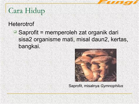 Manfaat Saprofit