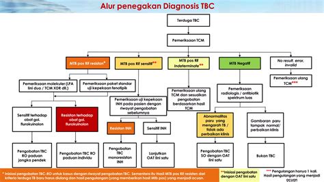 Manfaat dan Penggunaan TCM
