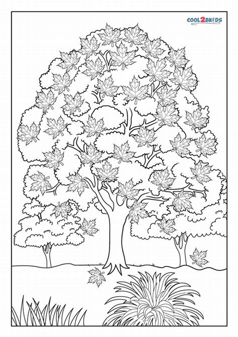 Maple Tree Printable