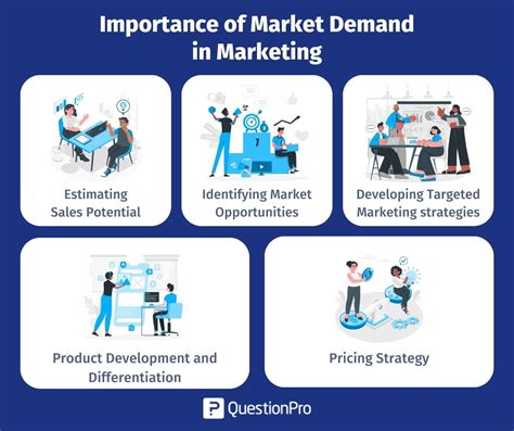 Market research and potential demand