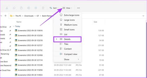 Master File Management: Batch Rename Files and Extensions in Windows 11