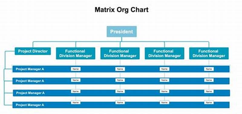 Matrixed Org Chart