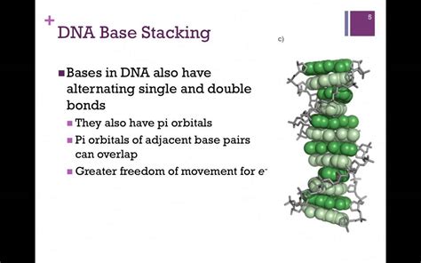Measuring the efficacy of DNA stabilization