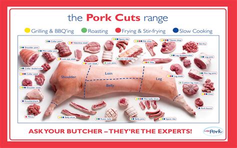 Meat Cut Chart For Pork