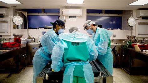 Medical Examiner Autopsy