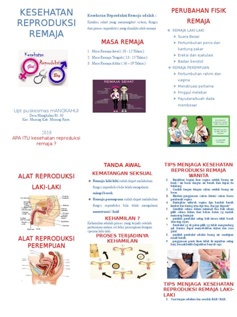 Memahami Kesehatan Reproduksi