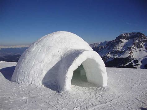 Membangun Igloo