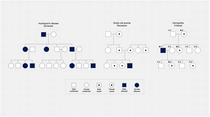 Mendelian Inheritance Pattern