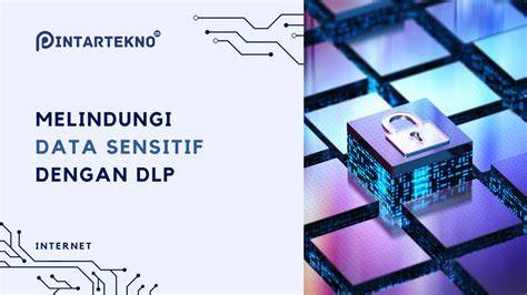 Mengapa DLP Penting