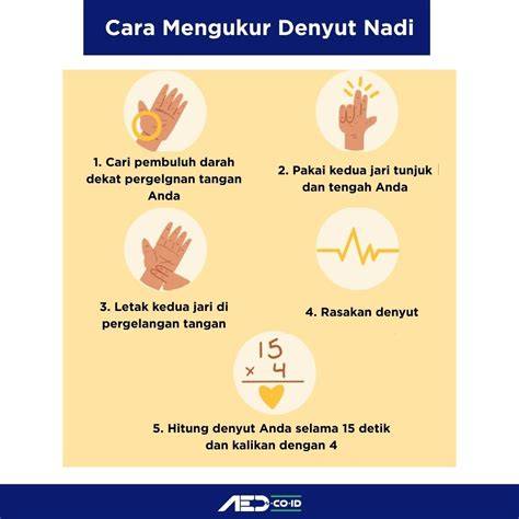 Mengukur Denyut Nadi