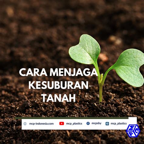 Menjaga Kesuburan
