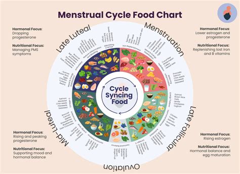 Menstrual Cycle Food Chart