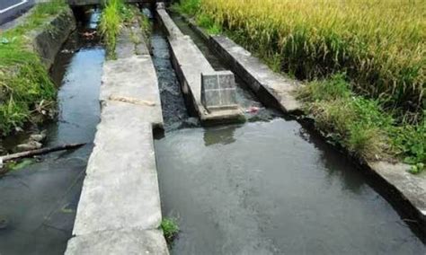 Metode Pengairan Tradisional