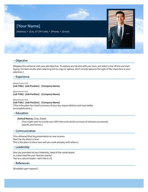 Microsoft Curriculum Vitae Template