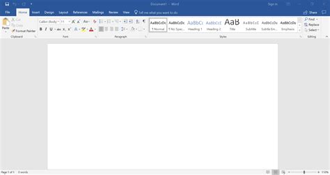 Microsoft Word