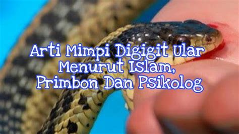 Mimpi dikejar ular dalam Islam